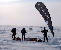 polar16002001.jpg